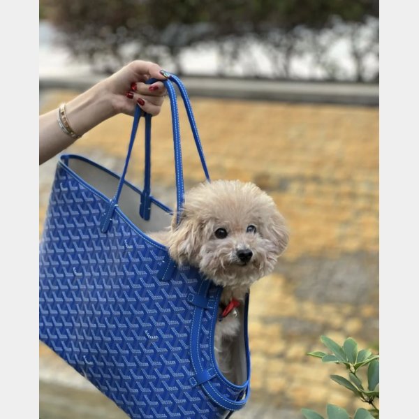 Cheap Goyard Chien Gris & Pocket Pet bag