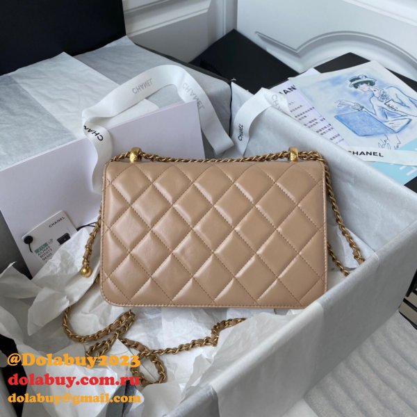 1:1 Replica AS2649 Calfskin & Gold-Tone Metal Flap Bag