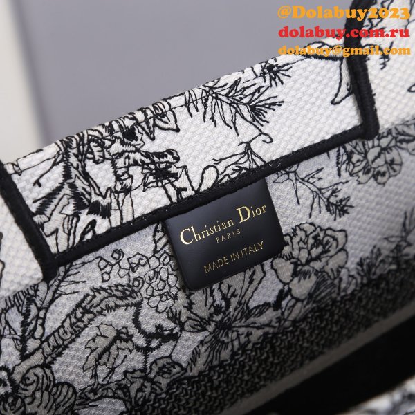 Knockoff Christian Dior Book Tote Top Quality bag